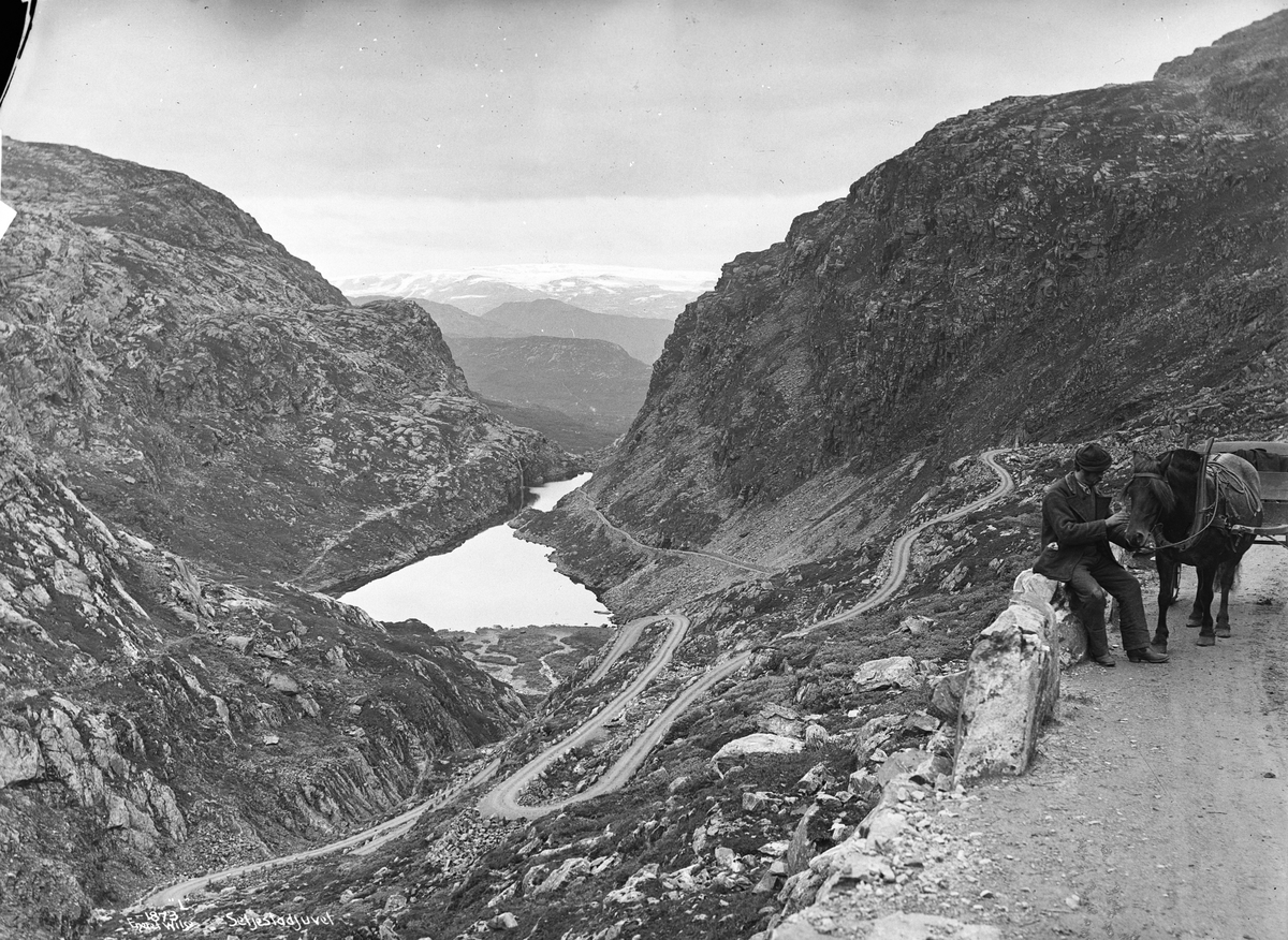 Axel Lindahl, Prot: Hardanger Fra Seljestadjuvet
