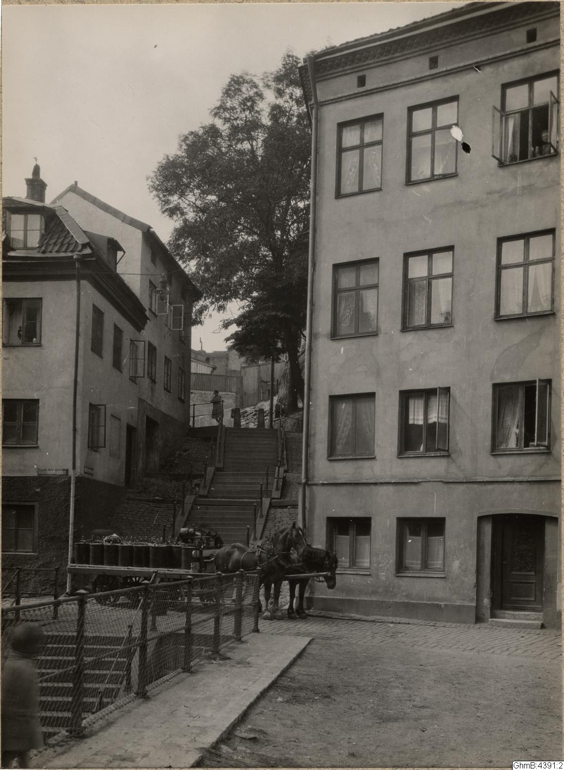 Otto Thulin, påsiktsbild, bilder, fotografi