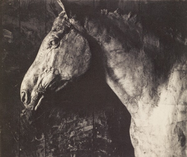 Thomas Eakins, [Plaster Model of Clinker for an Equestrian Relief of General Grant]