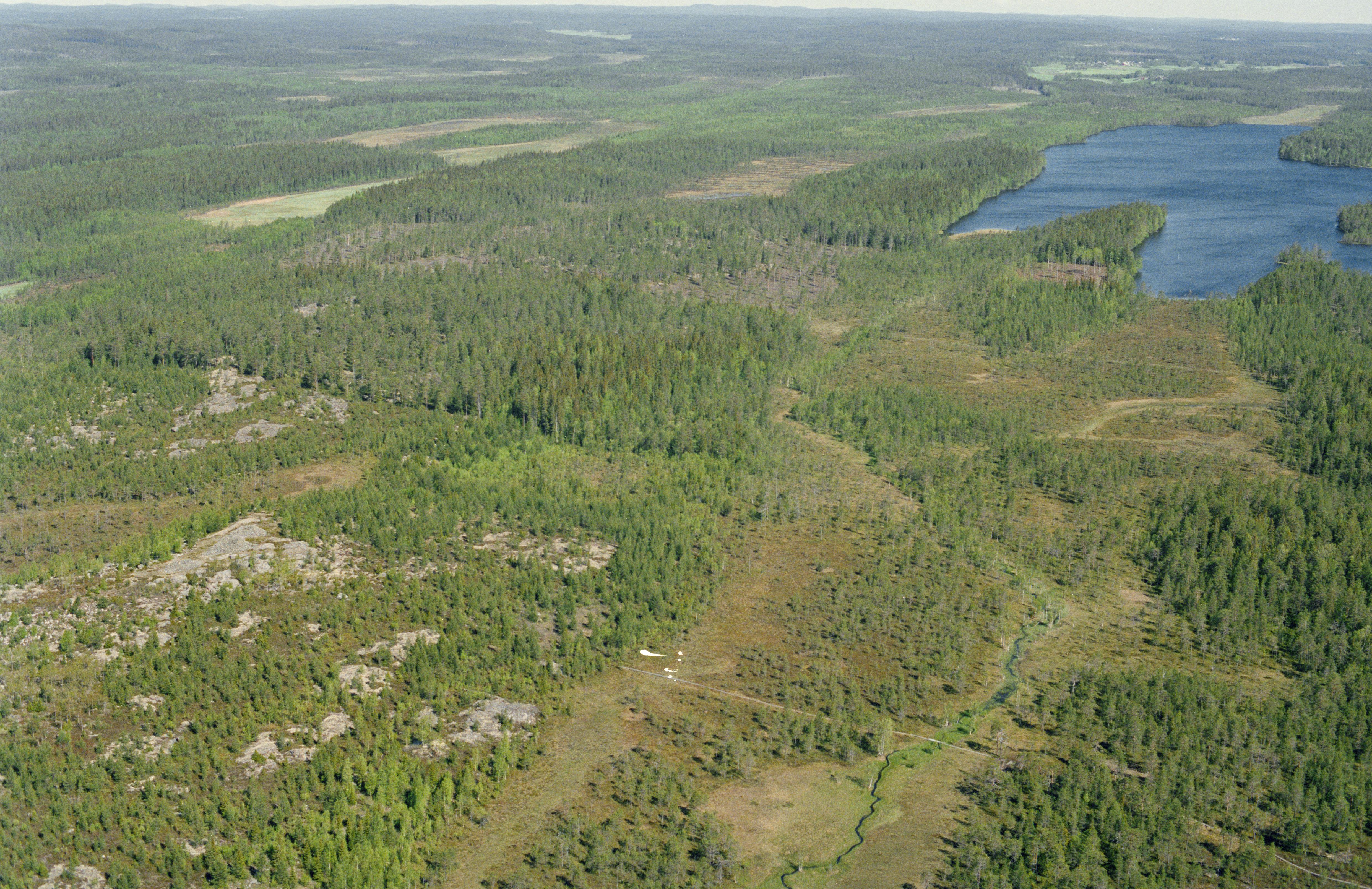 Jan Norrman, Umeå stad 45:1