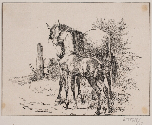 Adolph Kittendorff, Hesten og føllet