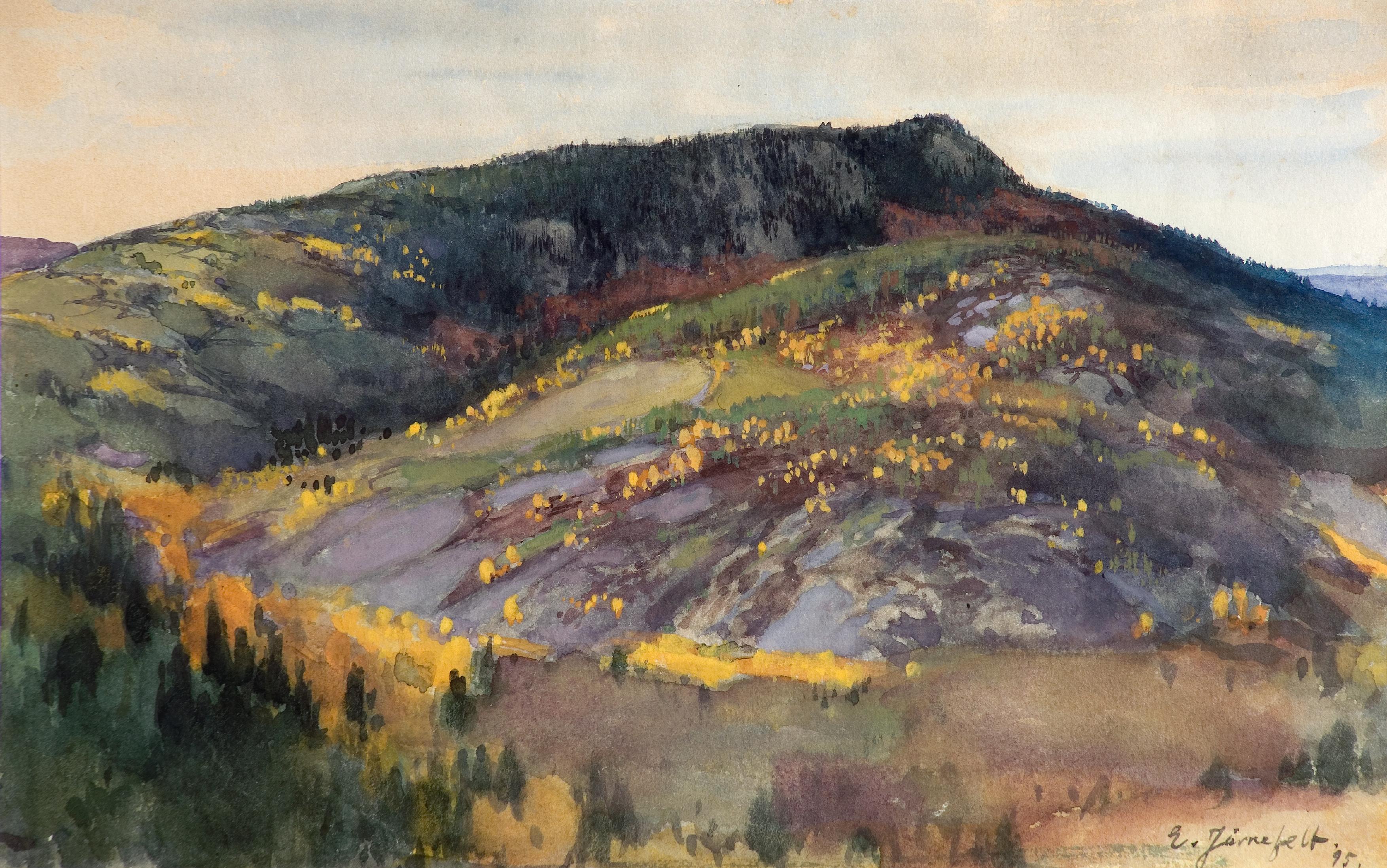 Eero Järnefelt, Koli
