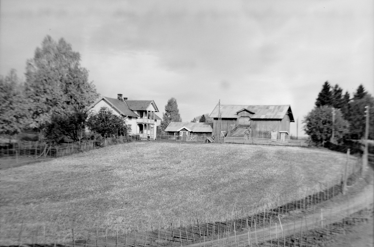 Anno Domkirkeodden, EKSTR: GARDSTUN, KVÆSTAD MELLOM, LØTEN. Se Løtenboka, bind 1. Bygdeboka fra 1949, side 645