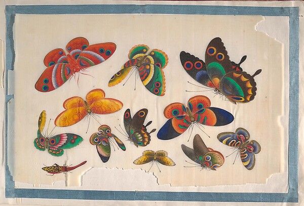 Unidentified artist, Album Containing Twelve Paintings of Insects