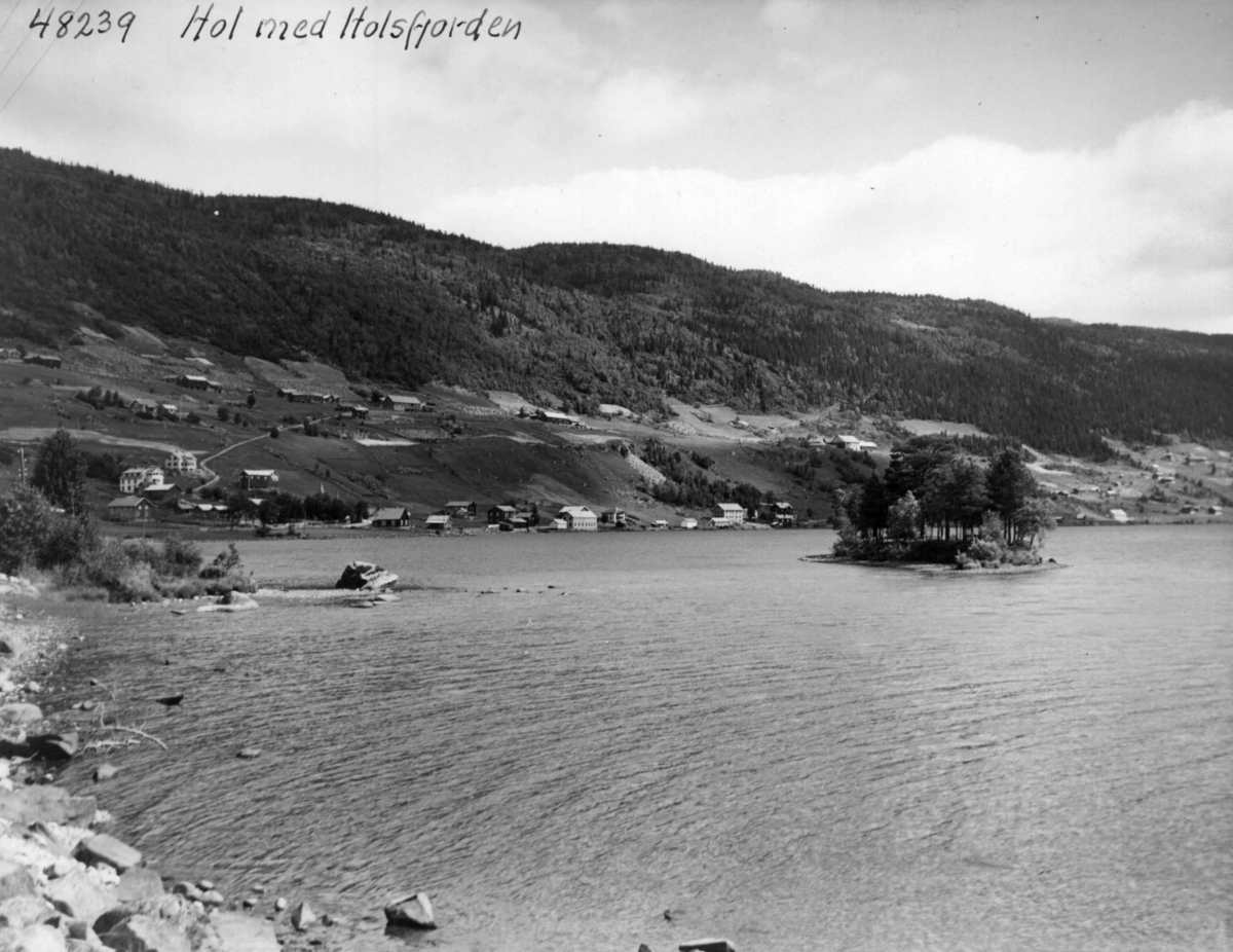 Anders Beer Wilse, Holsfjorden, Oversiktsbilde