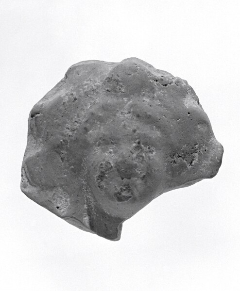 Unknown, Female Head Fragment