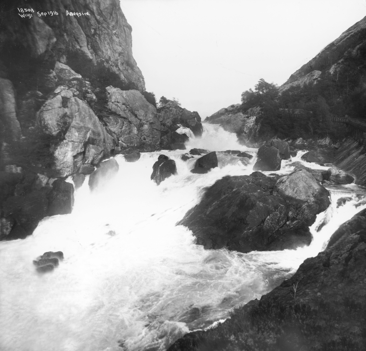 Anders Beer Wilse, Aaensire