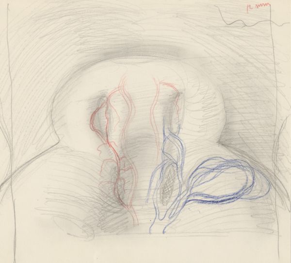 J Tinkelenberg, Sketch of the vascular system of the head of an embryo