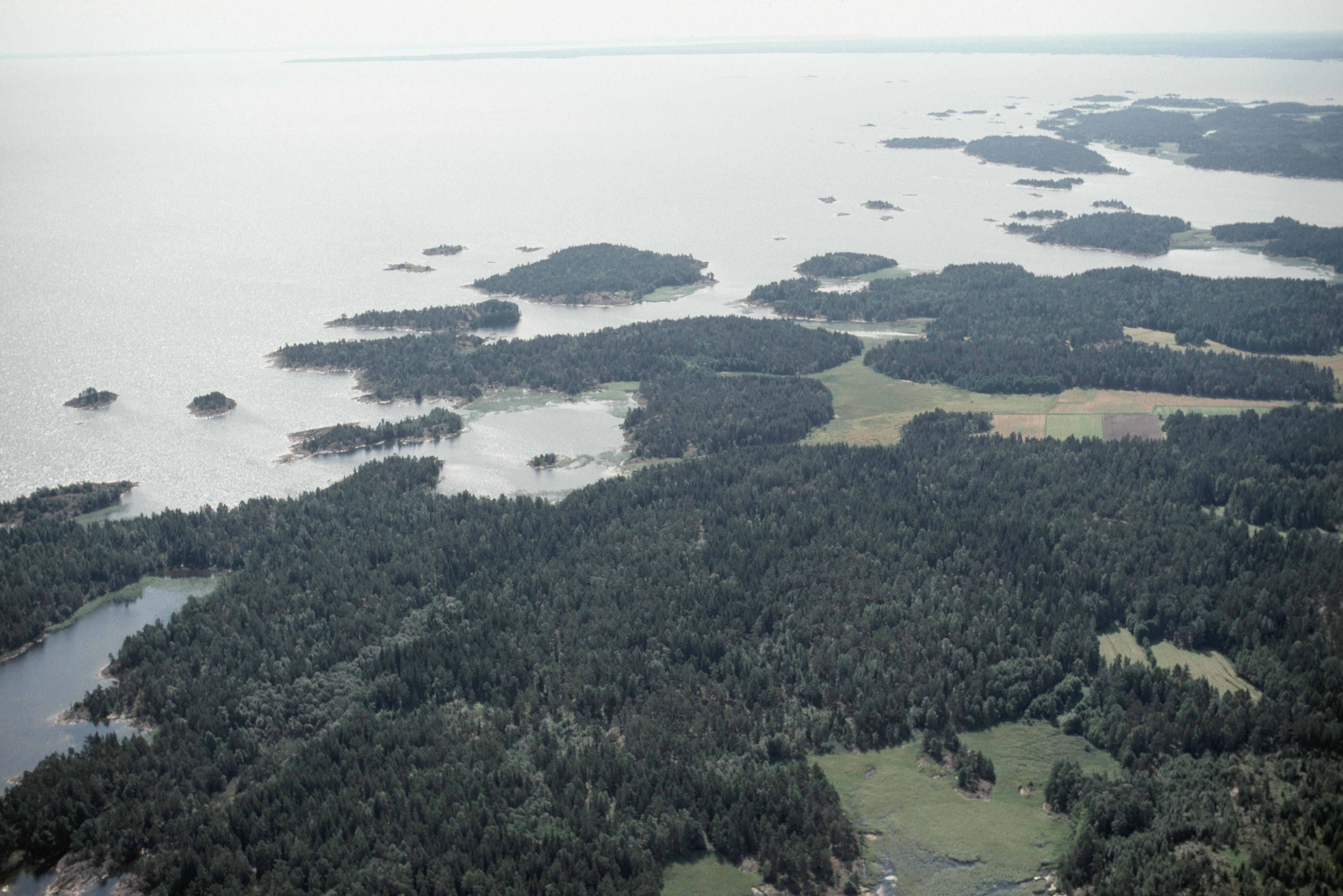 Jan Norrman, Ånimskog 194:1