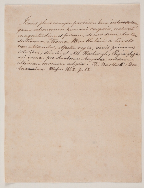Karel van Mander III, Blad, der gengiver et formentligt titelblads tekst.