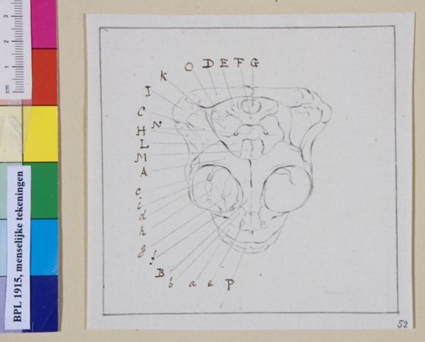 M Houtman, Child's skull