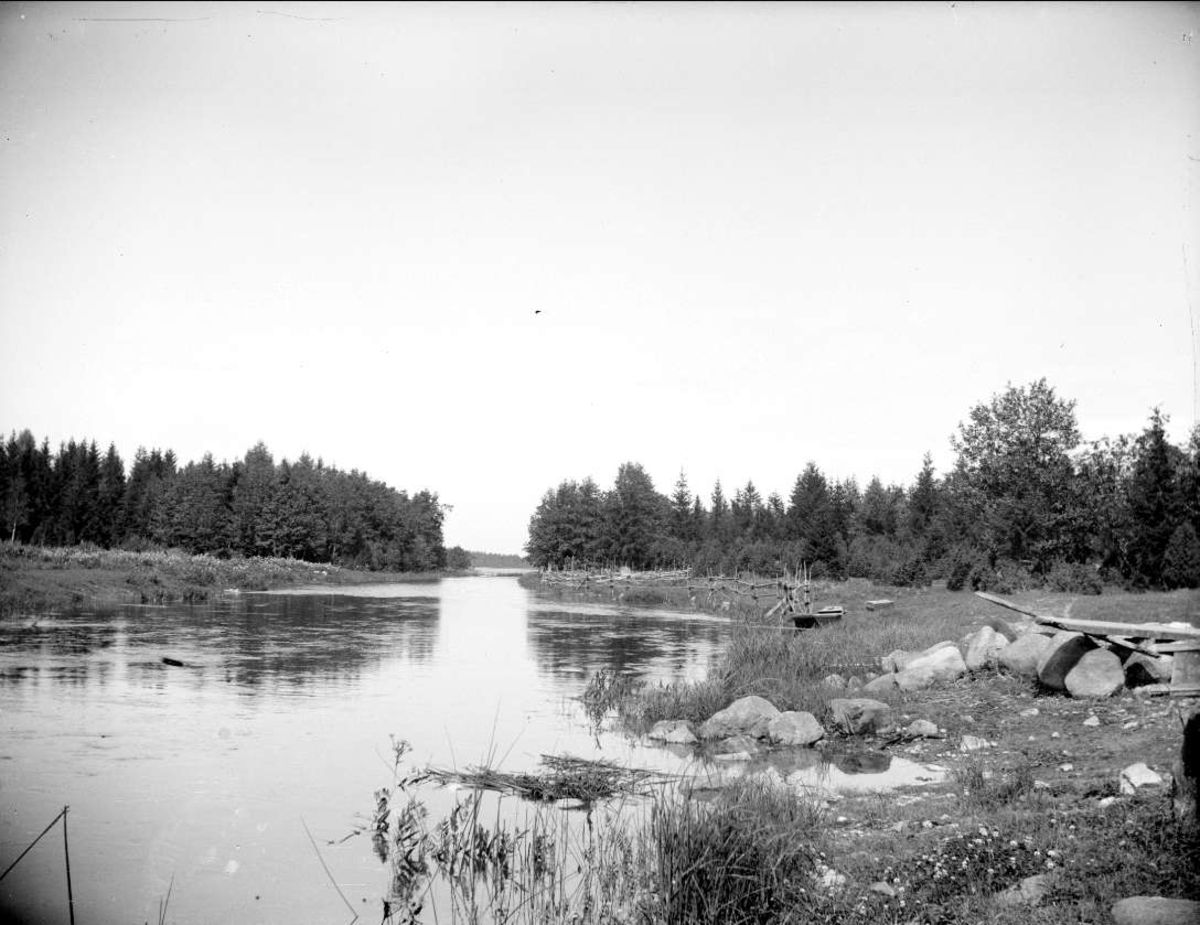 August Fredrik Schagerström, Olandsån i Börstil parish, Uppland, July 1915