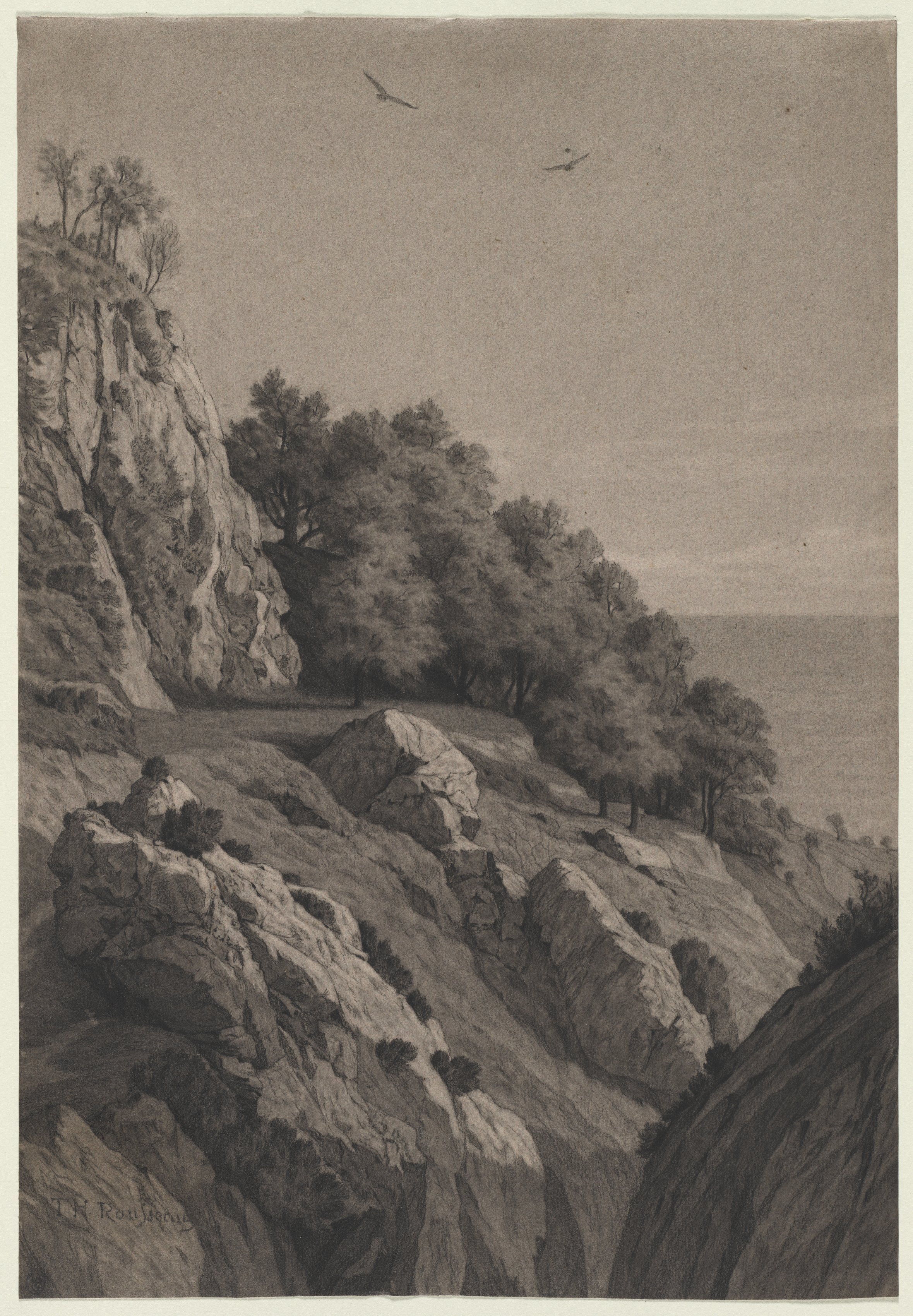 Anonymous, Rocky Cliff on a Coast