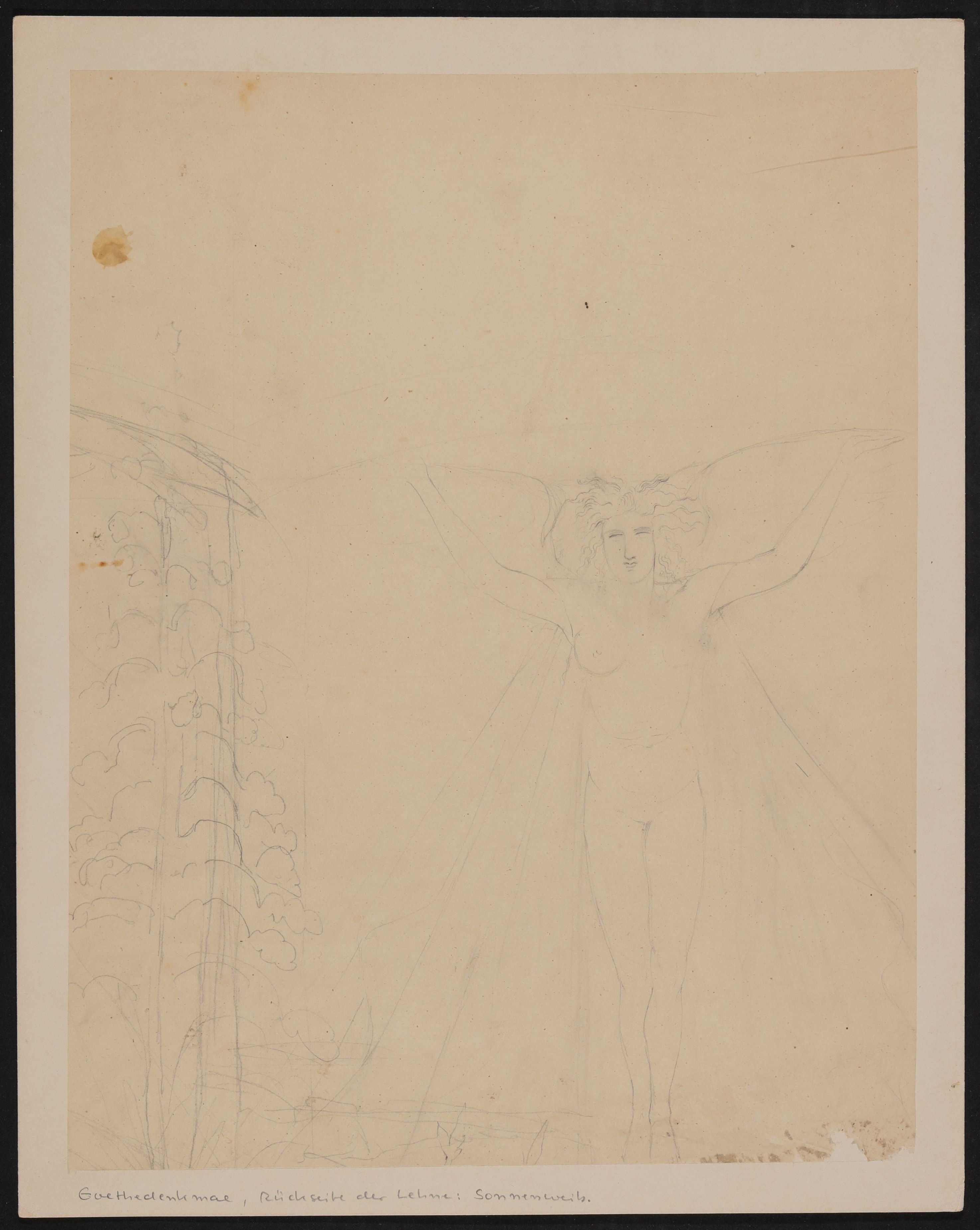 Bettine von Arnim, Sonnenweib [Teilentwurf zum Goethe-Denkmal]