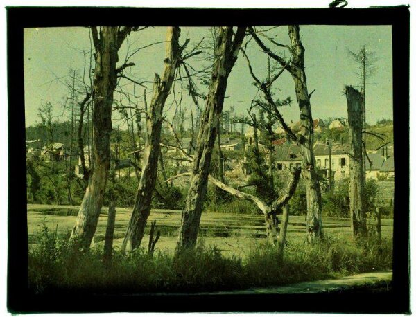 Anonymous, Photograph