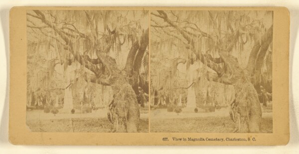 Benjamin West Kilburn, View in Magnolia Cemetery, Charleston, S.C.