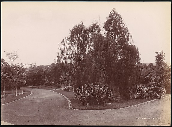 Unknown, Botanical Garden
