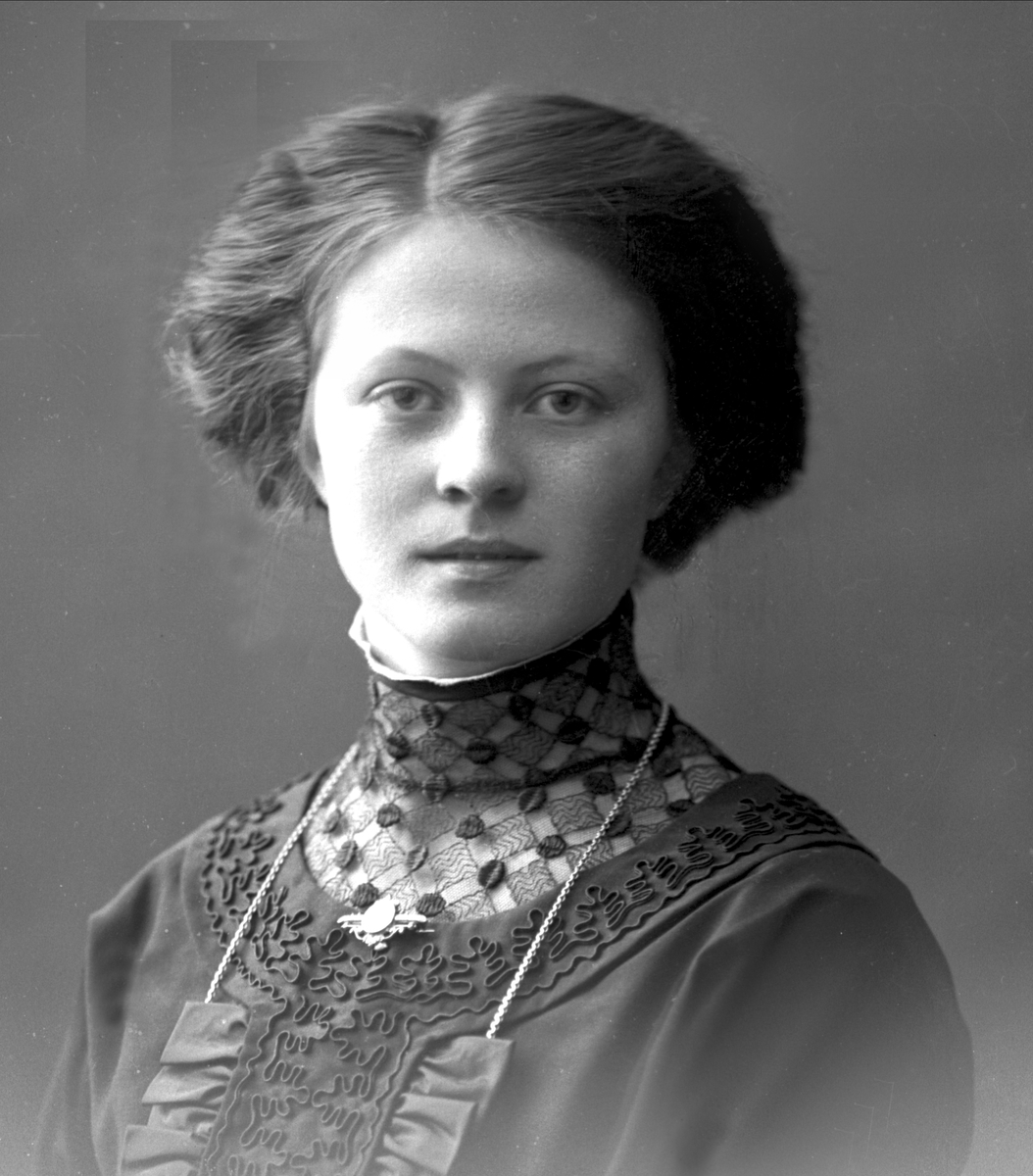 Gustav Borgen, NFB.29205