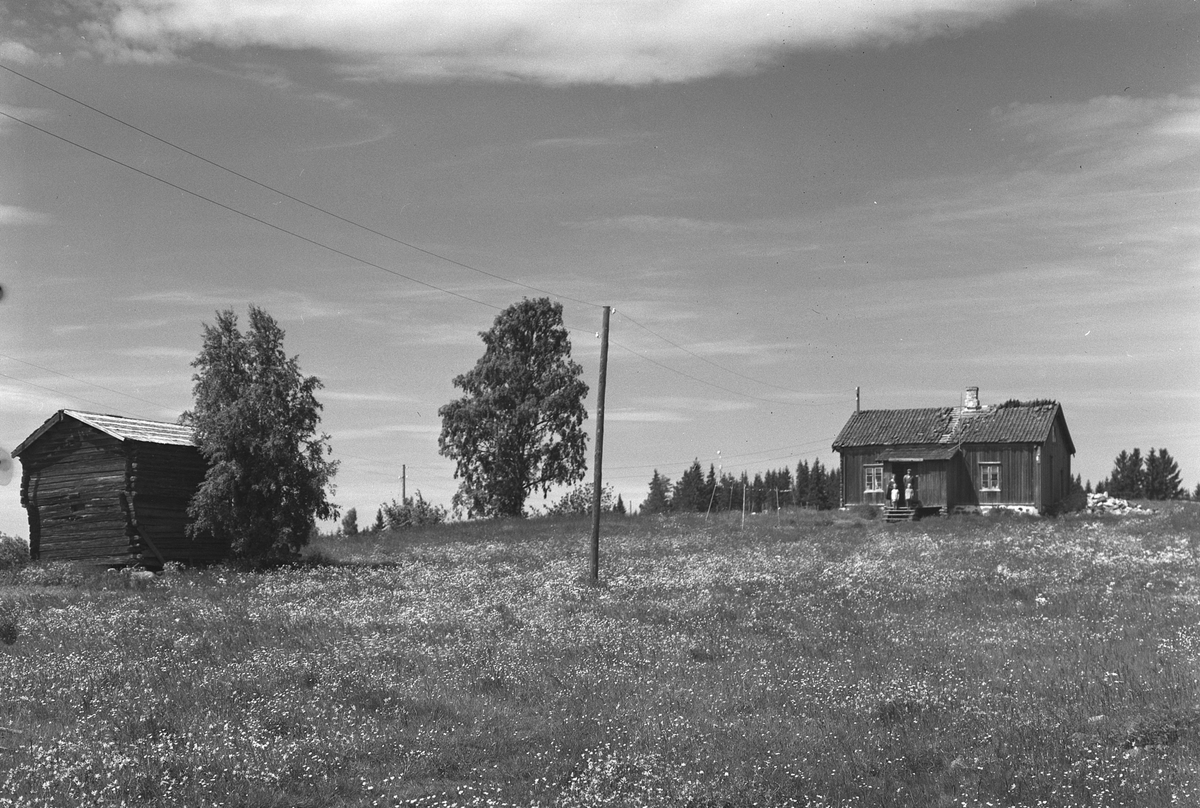 Anno Domkirkeodden, EKSTR: GARDSTUN, ROKO ØSTRE, LØTEN. Se Løtenboka, bind 3. Bygdeboka fra 1955, side 597