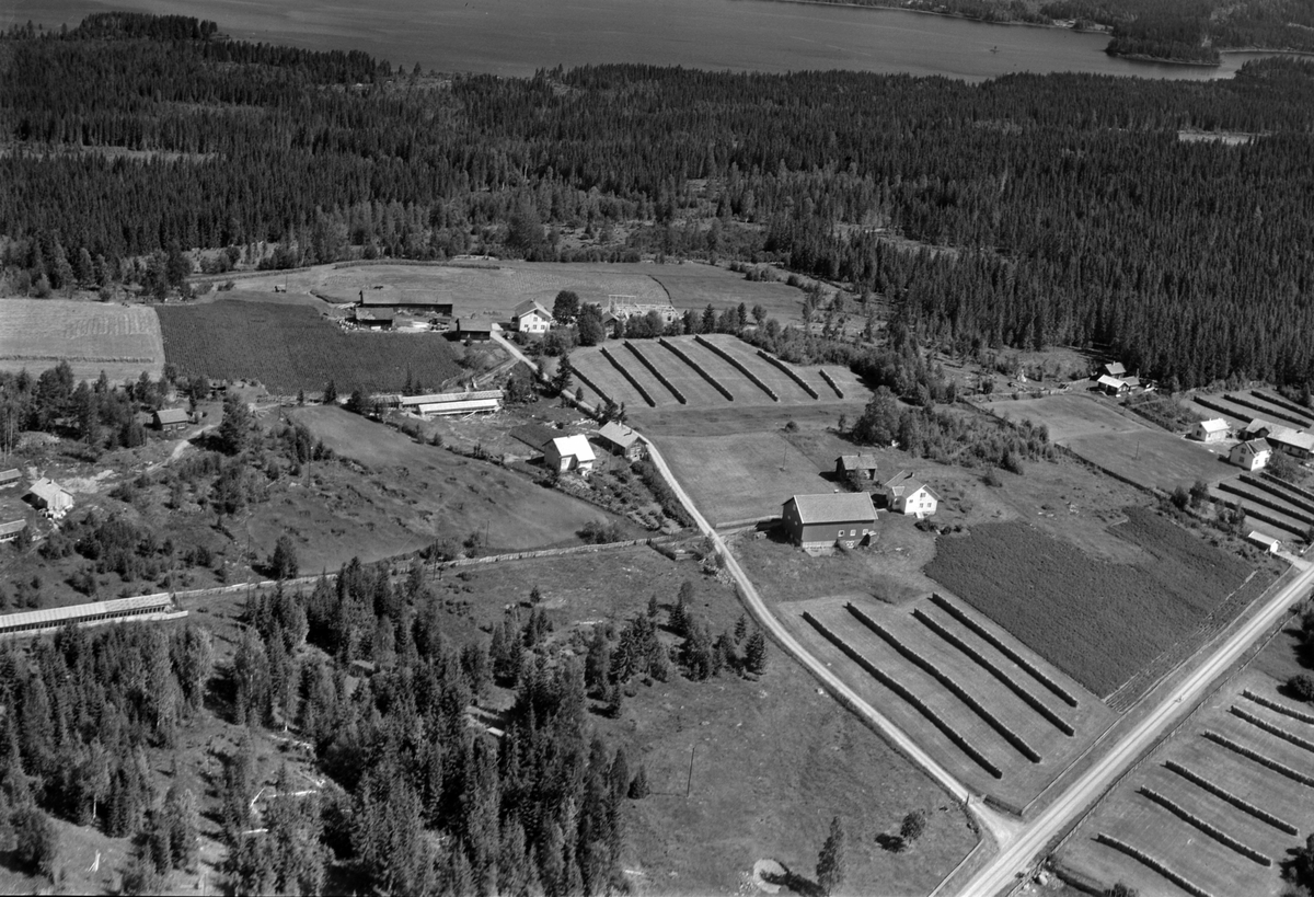 Widerøes Flyveselskap A/S, Flyfoto av Byenstua, Ring, Ringsaker. Næra i bakgrunnen.