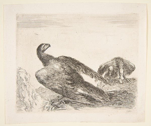 Stefano della Bella, Two eagles, one with prey, from 'Eagles'  (Les aigles)