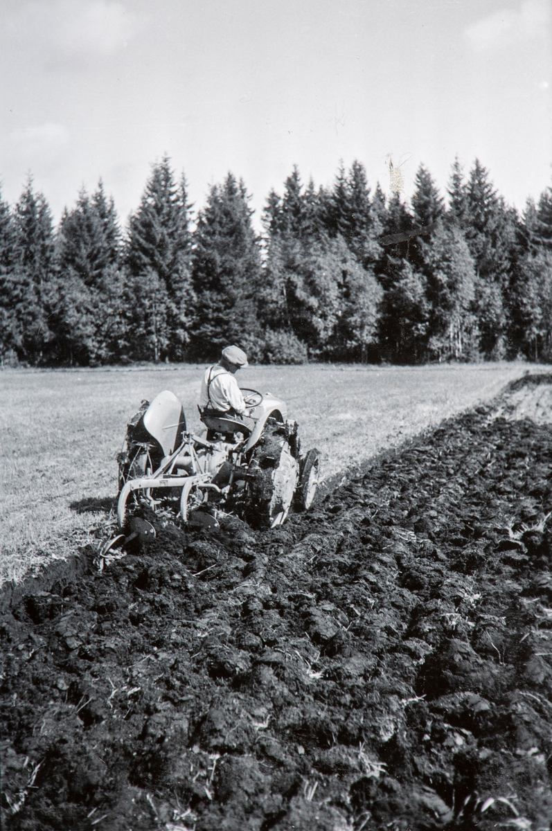 Anno Domkirkeodden, PLØYING M/TRAKTOR, FERGUSON 1938 MODEL M/JERNHJUL, KJØRKAR KOLBJØRN TRÆTTEBERG, LØTEN