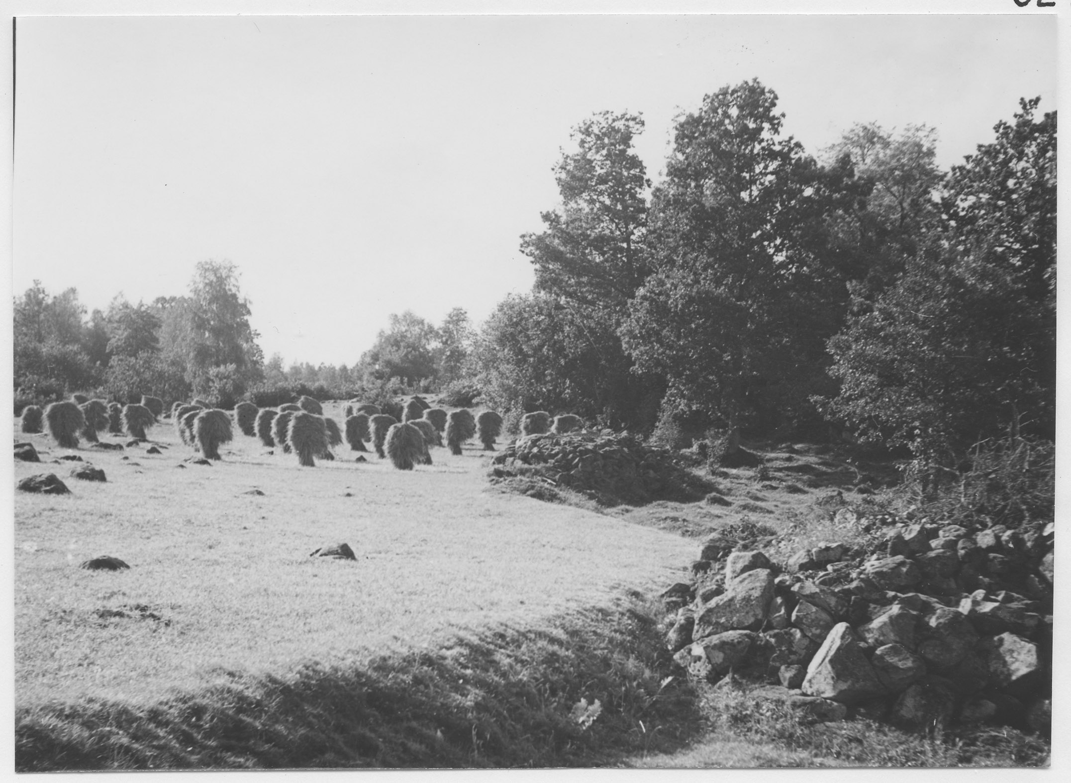 Mårten Sjöbeck, Tångarne