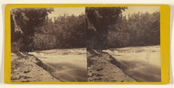 Edward and Henry T. Anthony & Co., Trenton Falls, New York. View of the Rapids, between the Lower and High Fall.
