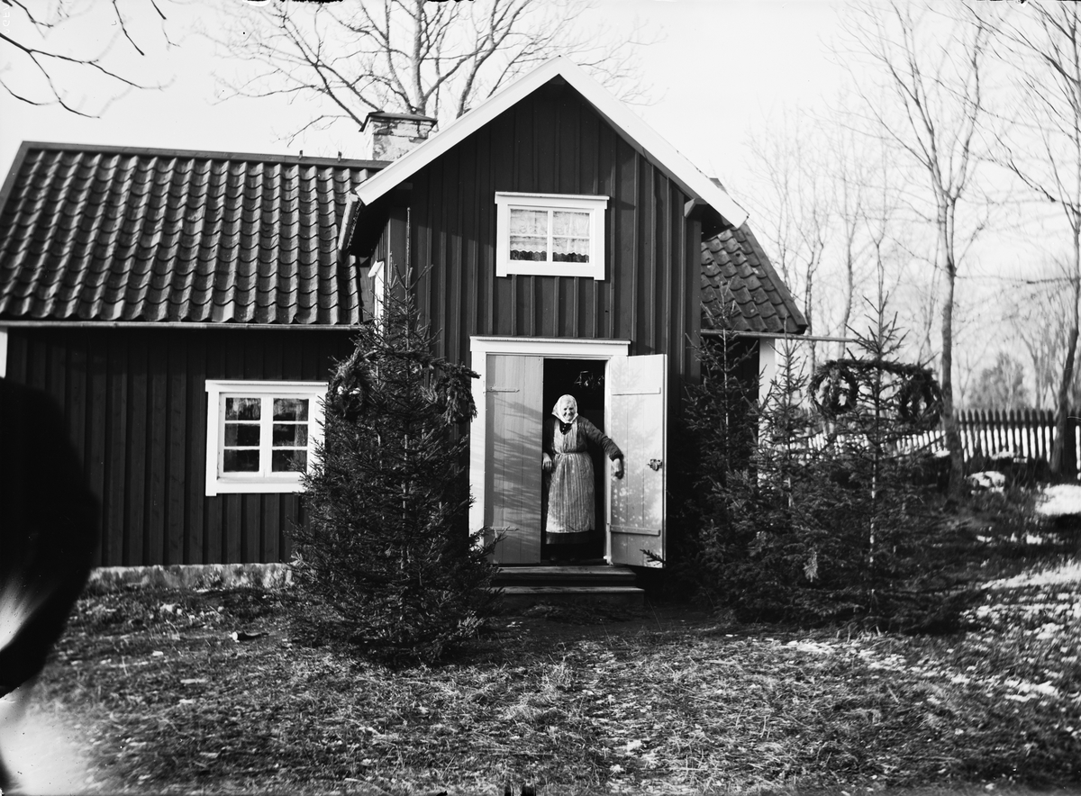 Paul Sandberg, Reconstruction of Christmas trees dressed with wreaths and painted eggs, Knivsta parish, Uppland 1935