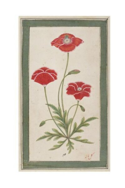 Unknown, Painting