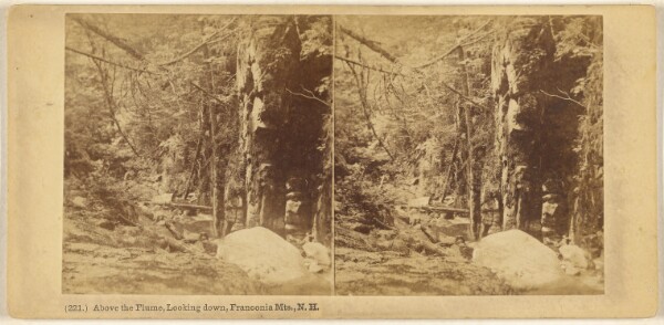 Edward Bierstadt, Above the Flume, Looking down, Franconia Mts., N.H.