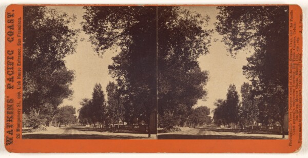 Carleton Watkins, [Tree-lined street view of San Gabriel, California]