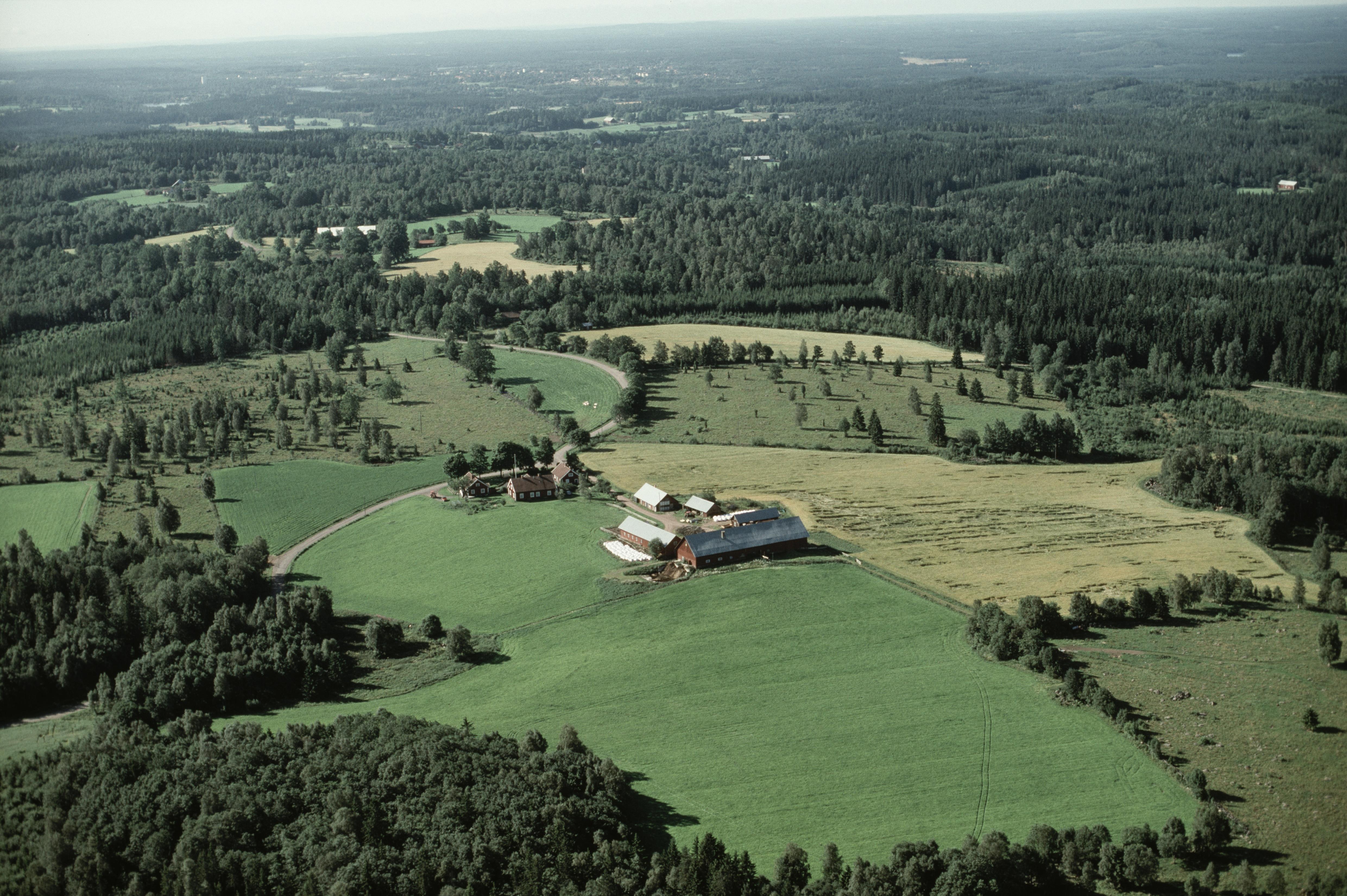 Jan Norrman, Eksjö 86:1