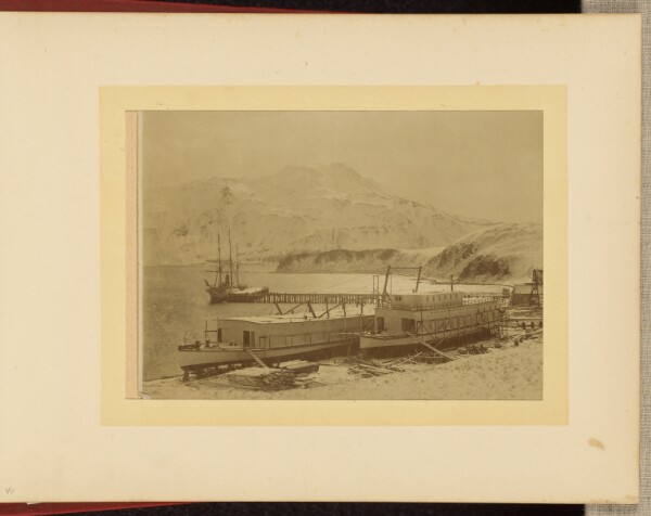 Unknown, The Bear in Winter Quarters