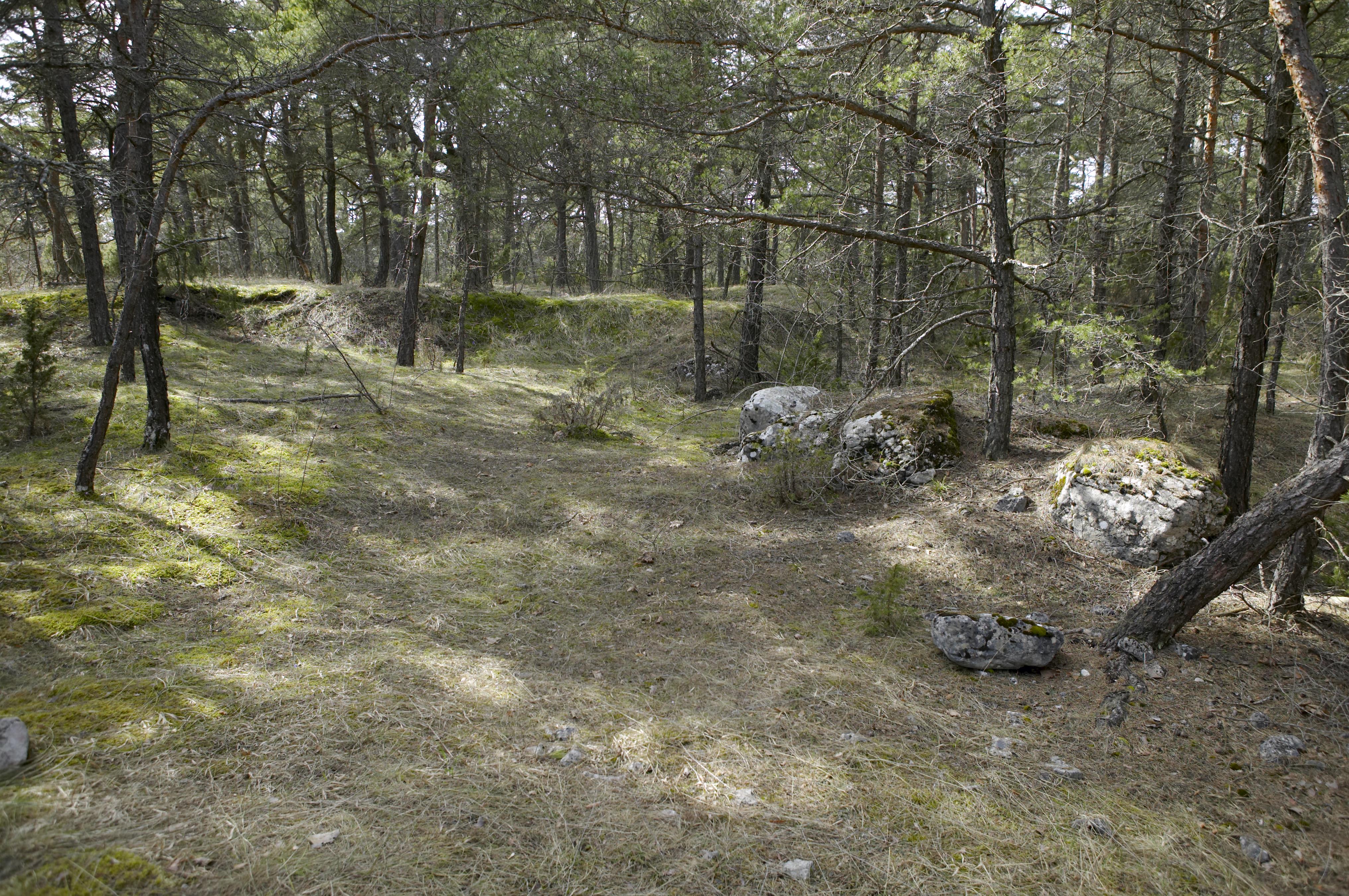Bengt A Lundberg, Stenkumla gravfält 4:1