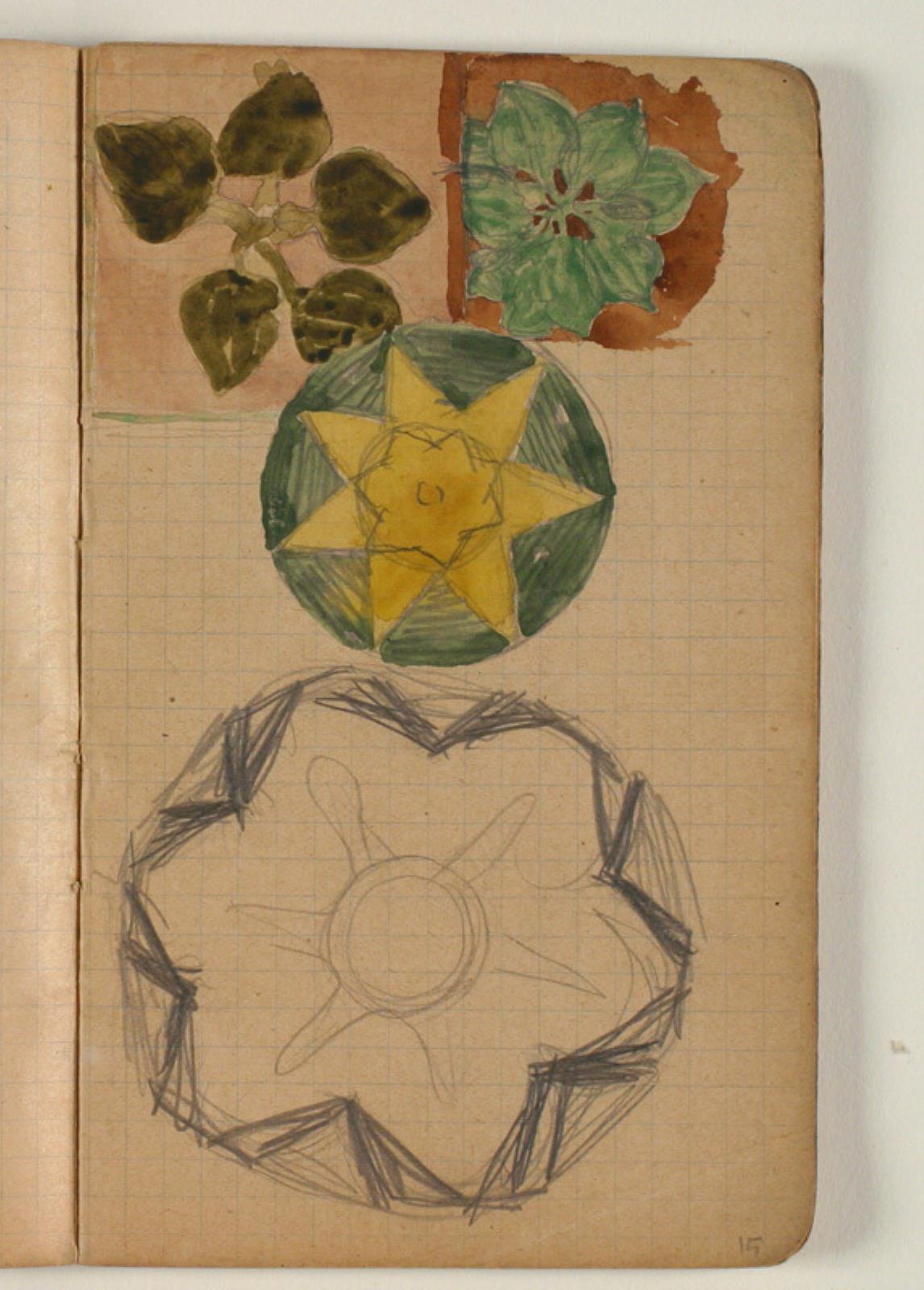 Niels Larsen Stevns, Skitser af planter og anden ornamentik
