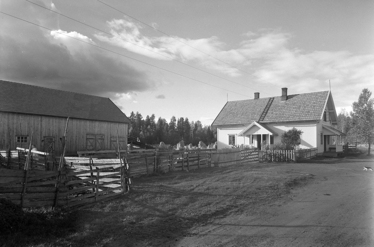 Anno Domkirkeodden, EKSTR: GARDSTUN, KVERNHUSLØKKEN. Se Løtenboka, bind 2. Bygdeboka fra 1953, side 81