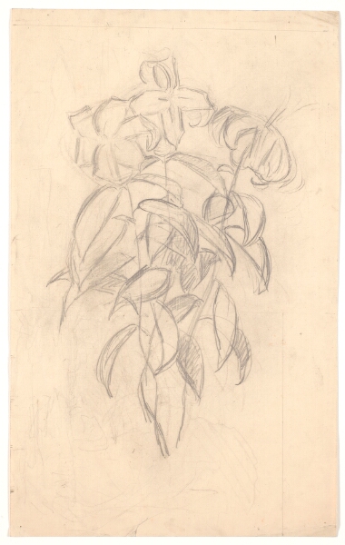 Joakim Skovgaard, Blomsterstudie