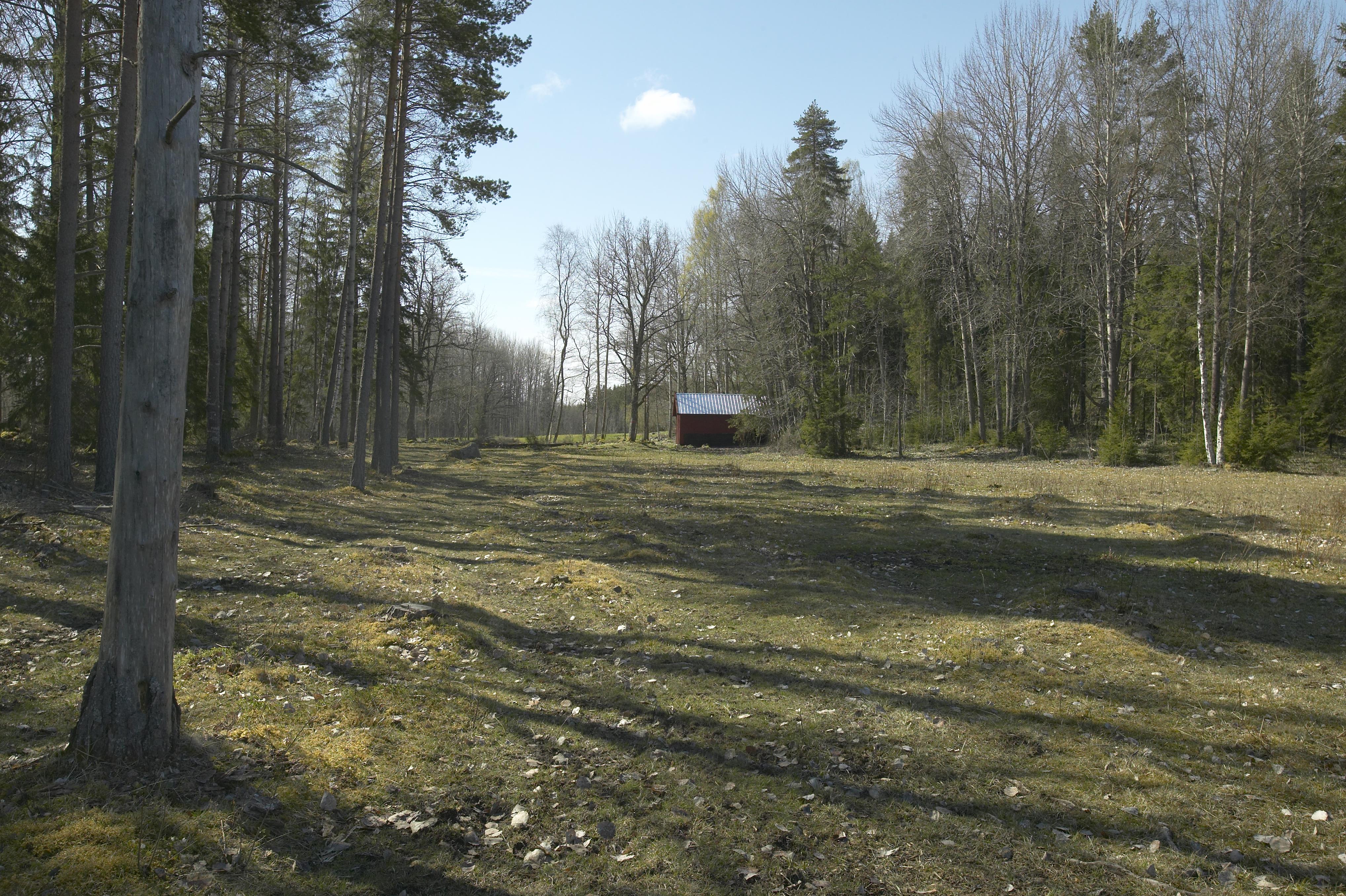 Bengt A Lundberg, Bredforsen