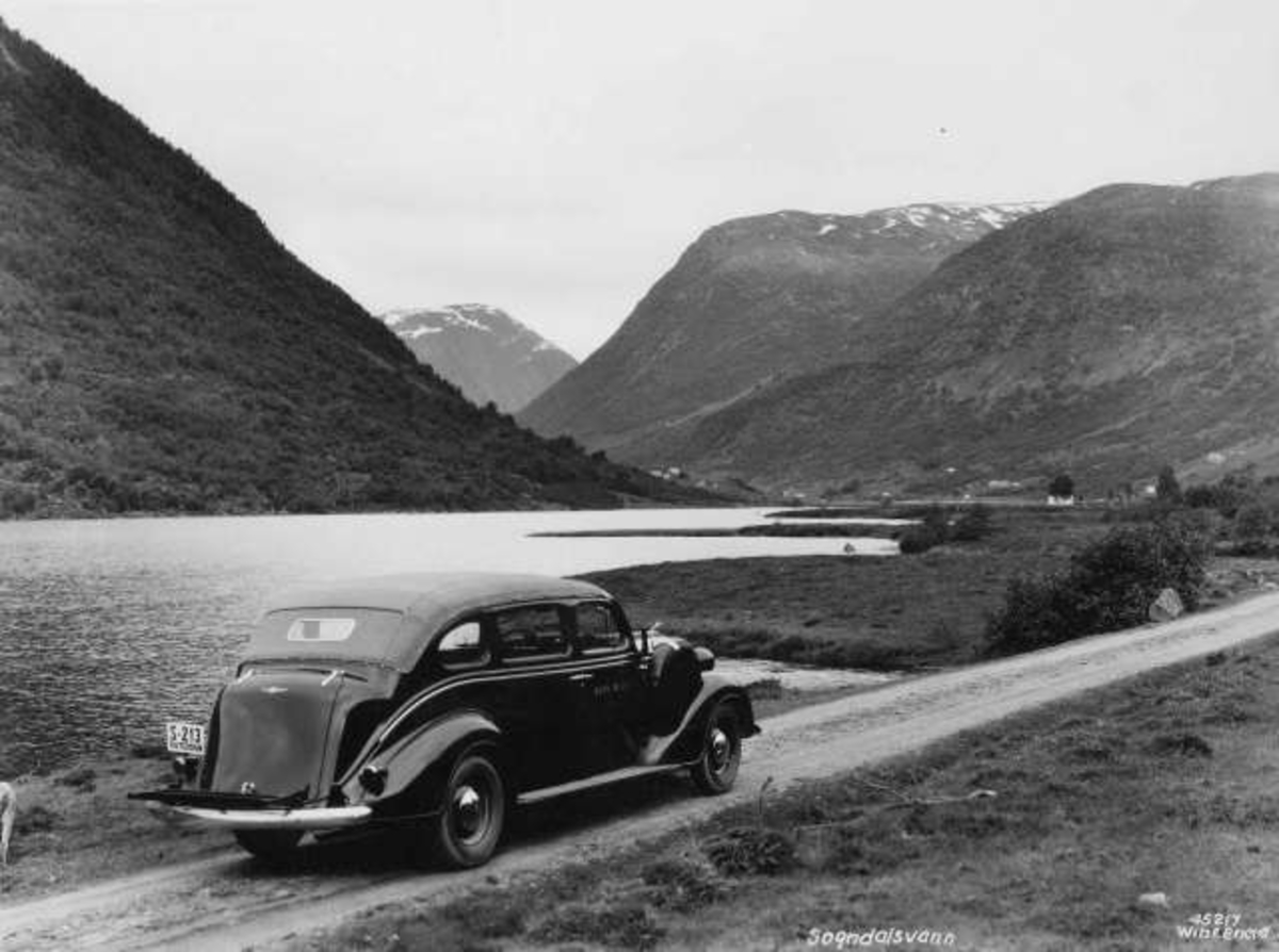 Anders Beer Wilse, -7028