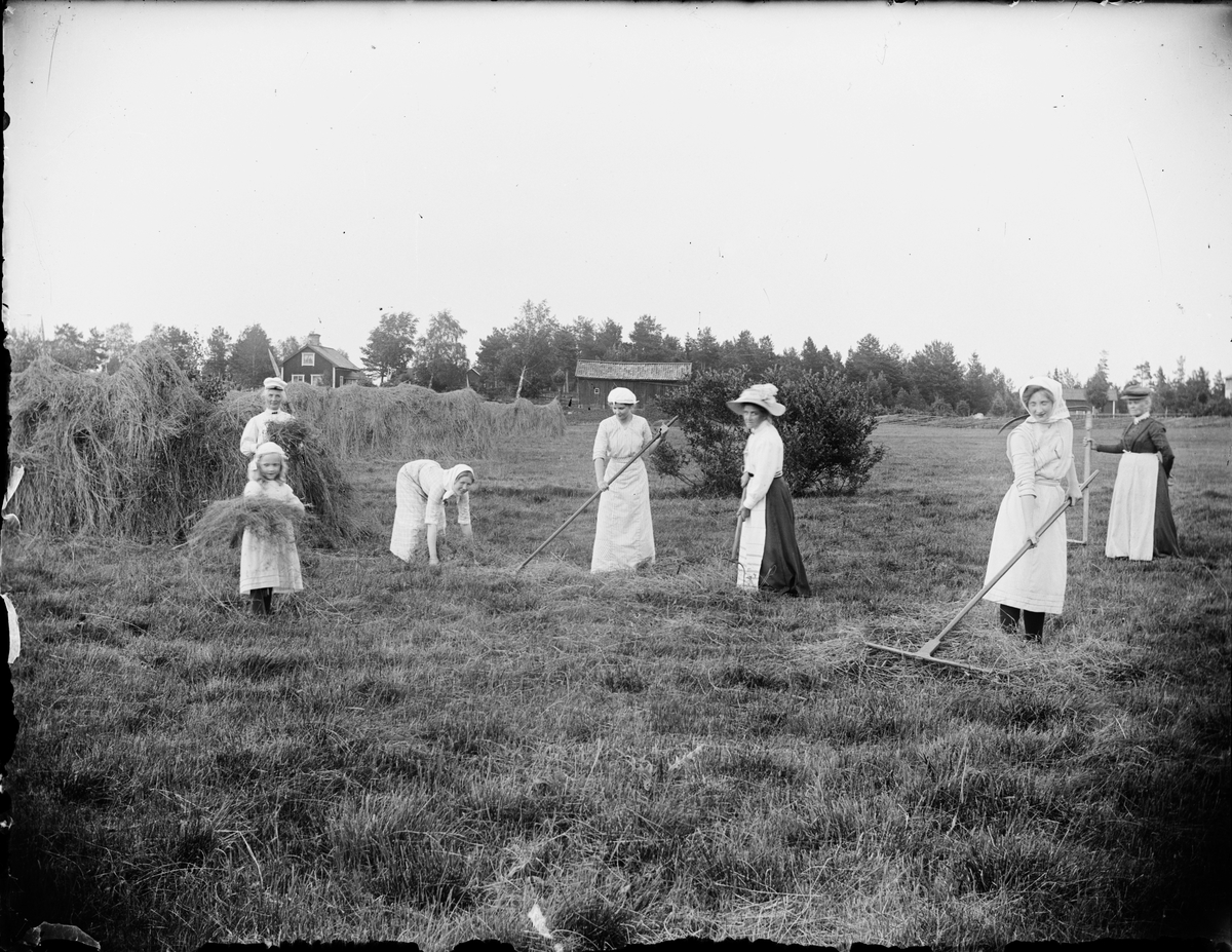 Skötsner-Edhlund, Höbärgning, Östhammar, Uppland