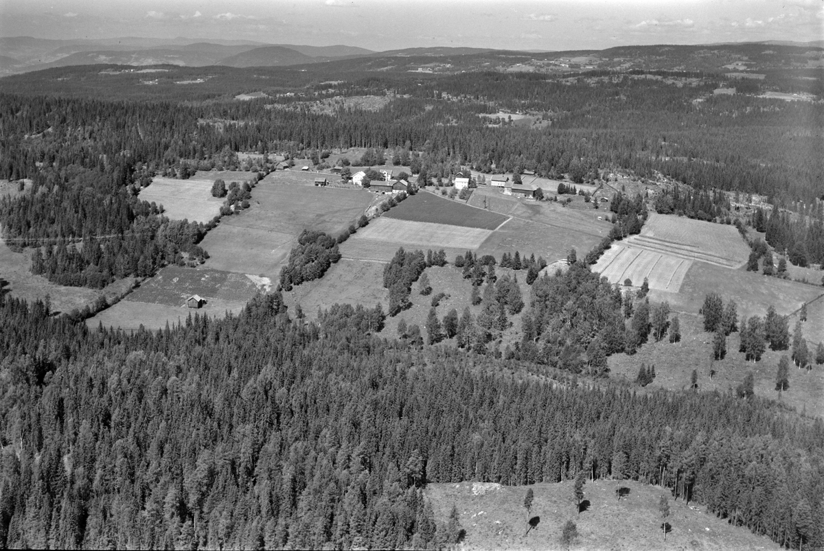Widerøes Flyveselskap A/S, Flyfoto av ukjente gardsbruk, Brøttum, Ringsaker.