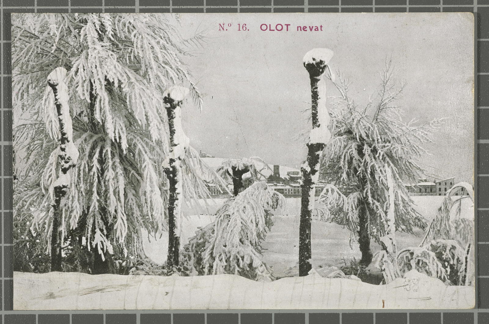 Desconegut, Nº 16. Olot nevat
