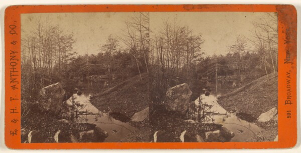 Edward and Henry T. Anthony & Co., Central Park, New York. View in the Ramble.
