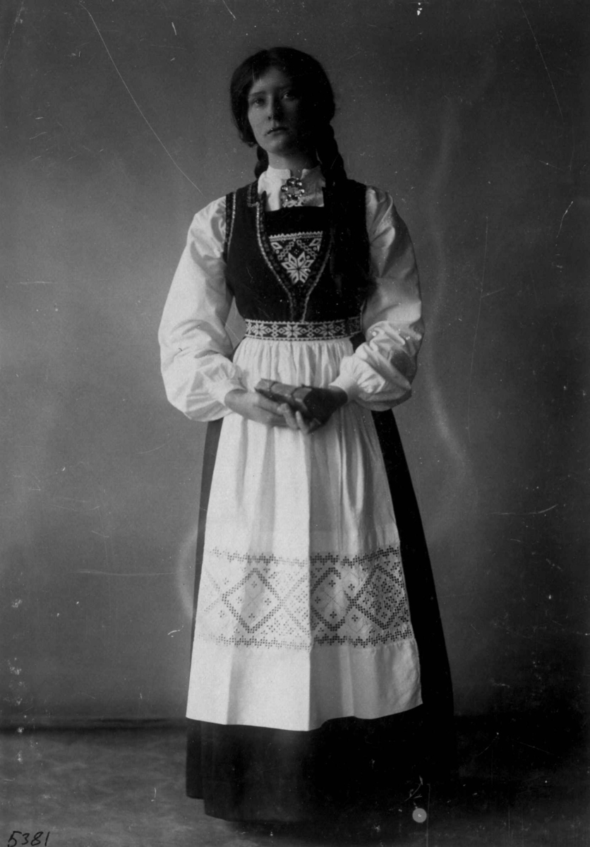 Hermann Christian Neupert, Kvinnedrakt fra Hardanger, Hordaland 1927. Kvinne med bibel i hånden.