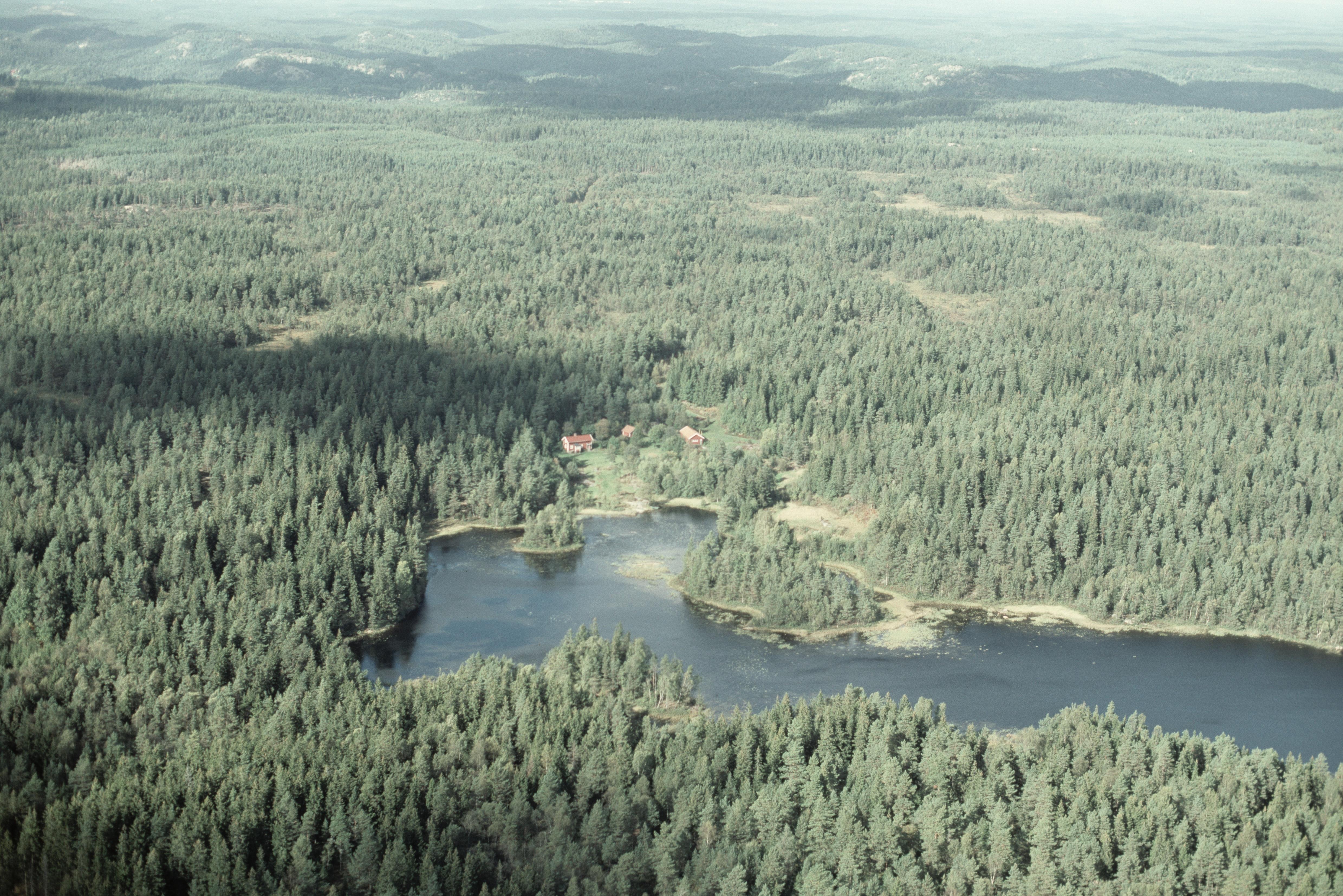 Jan Norrman, Bredfjället