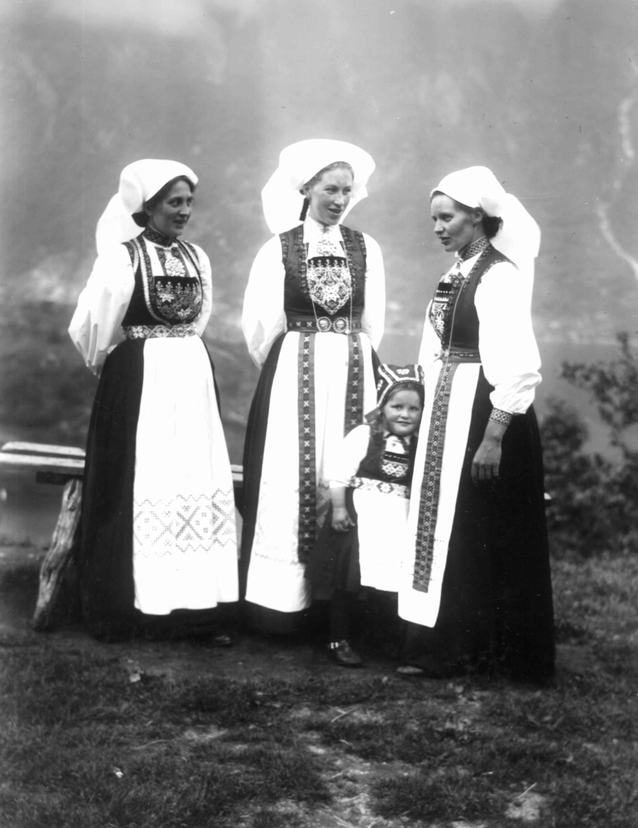 Anders Beer Wilse, Drakt, Kvinnedrakter, Grupper