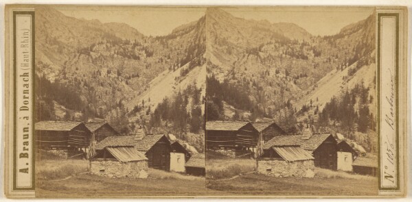 Adolphe Braun, Barberine