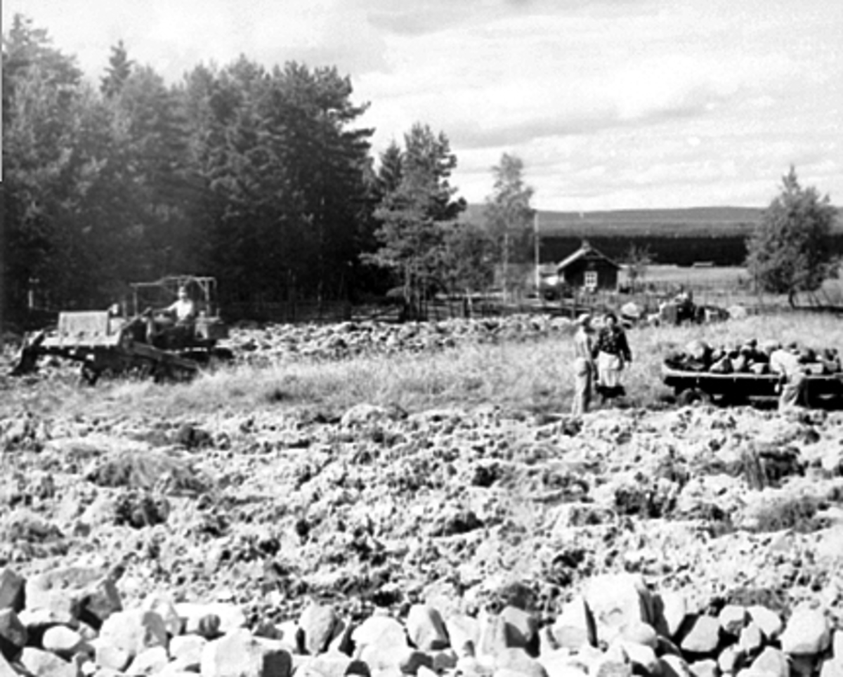 Anno Domkirkeodden, SØRBRYN, NYRYDDING AV JORDE MED BULLDOSER, JORDET LIGGER BAK SØSTUEN UNDER VESTBRYN