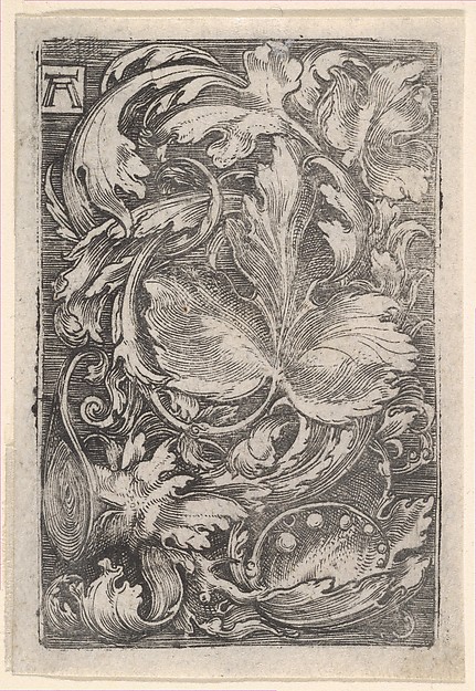 Albrecht Altdorfer, Leaf Ornament with Lilies of the Valley